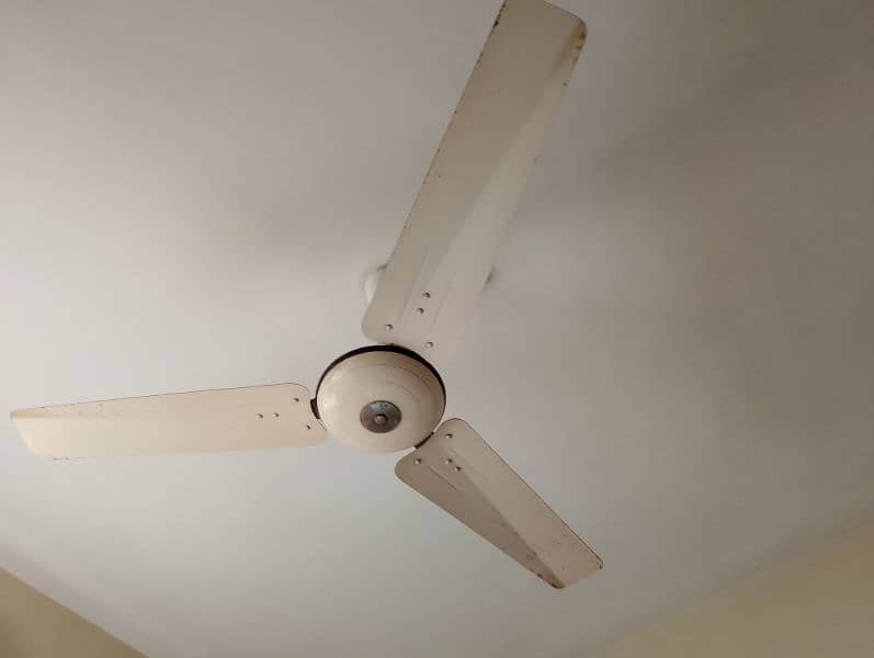 ceiling Pak Fan Perwaz Fan All 100 percent Copper Gulshan Karachi 4