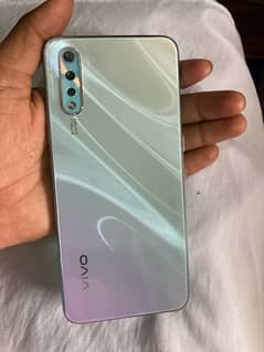 vivo