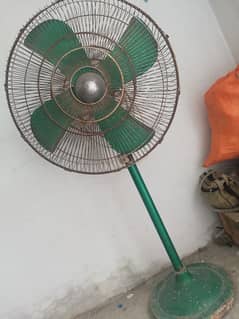 fan