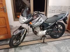 Yamaha YBR 125  for sale