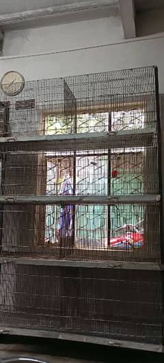 cage for sale