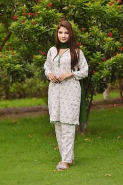 3 PCs stitched suit for independence day (deliver all over pakistan)