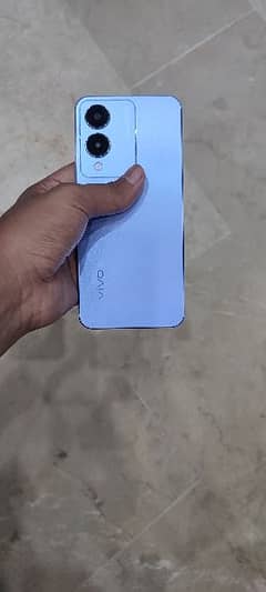 vivo