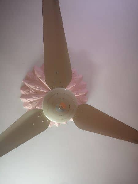 05. millat fans available 0