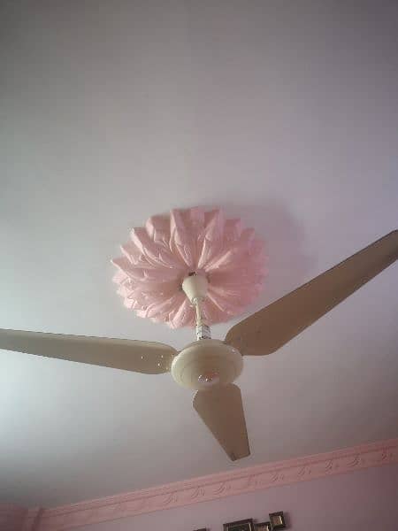 05. millat fans available 2