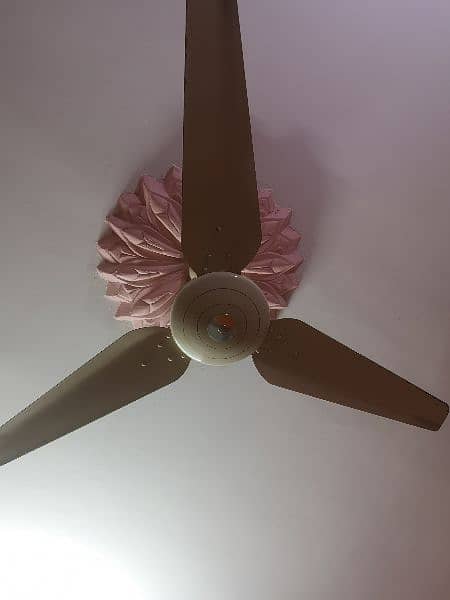 05. millat fans available 3