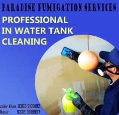 Pest control services & Termite Treatment Fumigation all types insects