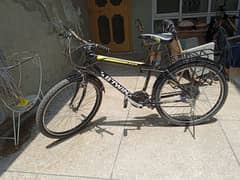 Mountain Bike available at 03195989059