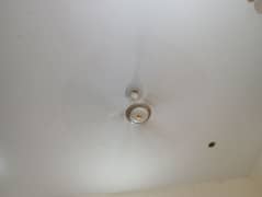 8 Celling Fan Running condition life time Grantee 0305 9177272