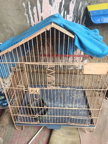 2 cages in good condition 1