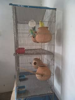 bird cage and accessories