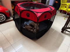 Cat House