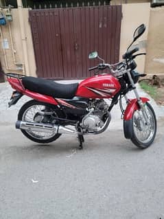 Yamaha YBZ 125 FOR Sale NOV-2018 Model