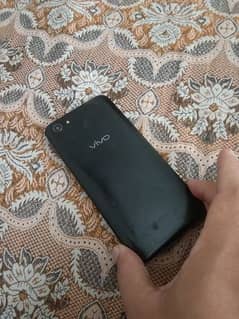 VIVO