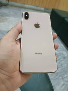 xs max Non pta