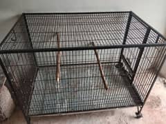 raw parrot cage for sale contact number 03227214143
