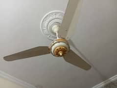 5 celling fans for sale