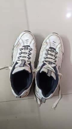 Cricket Shoes | For Club Matches