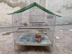 Cage For Sale