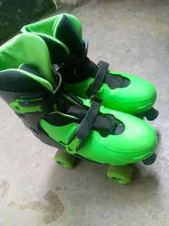 skating shoes in new condition adjustable