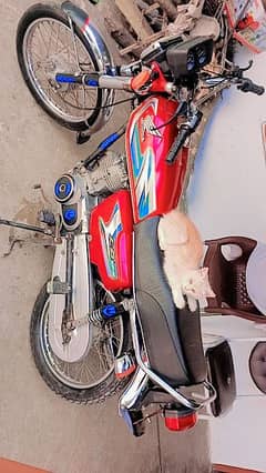 honda cg 125 all punjab nmbr -0-3-1-1-5-4-3-7-0-9-8