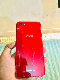 Vivo