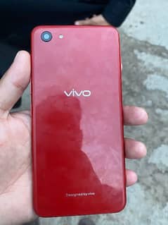 vivo