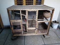 Cage Pinjra parrots birds  03216000426