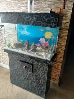 Fish Aquarium for sale