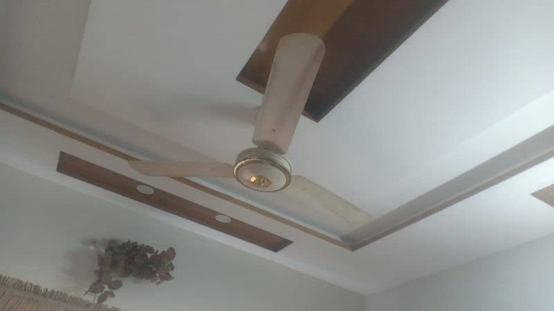 Ceiling Fans in very good condition, all are in working condition. 6