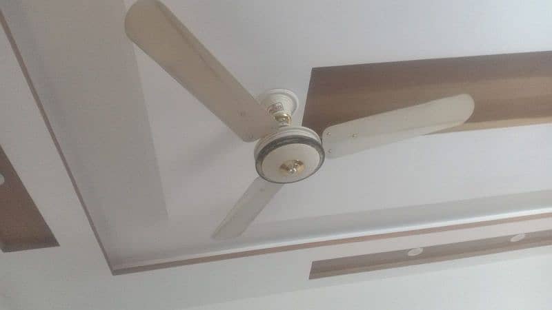 Ceiling Fans in very good condition, all are in working condition. 7