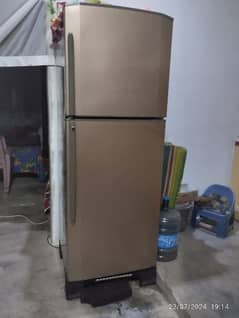 Full Size Fridge - Haier