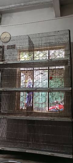 used cage for sale location G-9/2