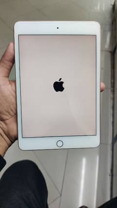 ipad mini 5 64gb 10/10