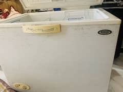 Waves Deep Freezer 10 cu ft