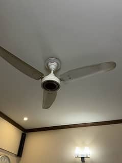 royal ceiling fan