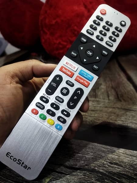 Ecostar remote available 1