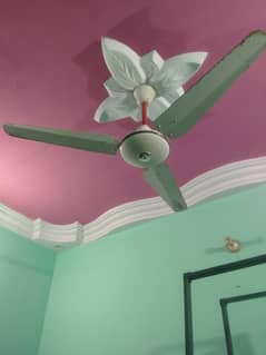 Ac fan