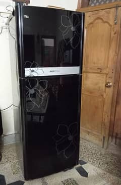 Orient Glass Door Refrigerator