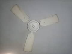 36 inch small size outstanding speed yunas ceiling fan 0