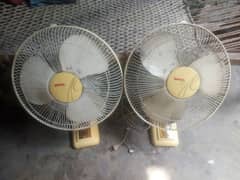 Royal Bracket Fan