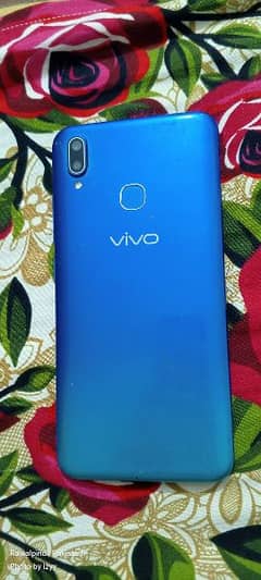 vivo