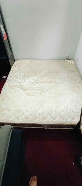 Diamond Victoria spring 78*72*8, 8inches new spring mattress 9