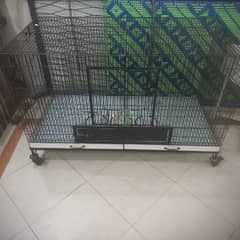 pets cage