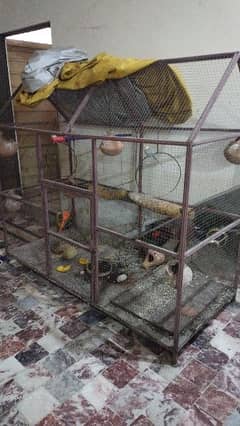 birds huge Iron cage