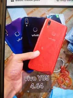 Vivo