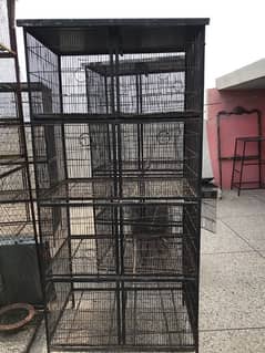 birds iron cage