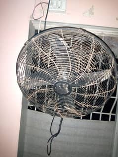 Orient Bracket Fan