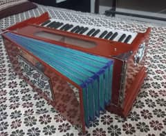 Bina Indian reeds harmonium