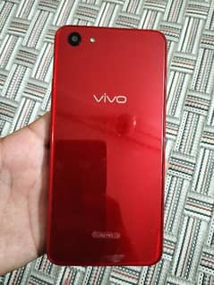 Vivo